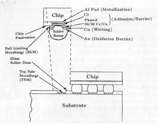 圖 1.3 IBM C4(Controlled-Collapse Chip Connection)示意圖 