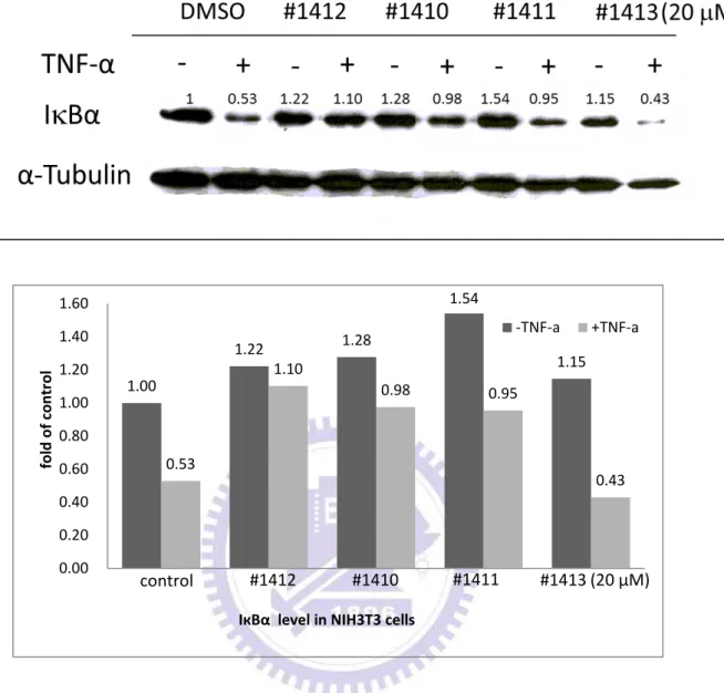 圖 1B    Aminofuran-linked-benzimidazole 系列衍生物  #1412、  #1410、
