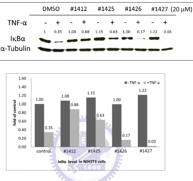 圖 1D    Aminofuran-linked-benzimidazol 系列衍生物  #1412、  #1425、