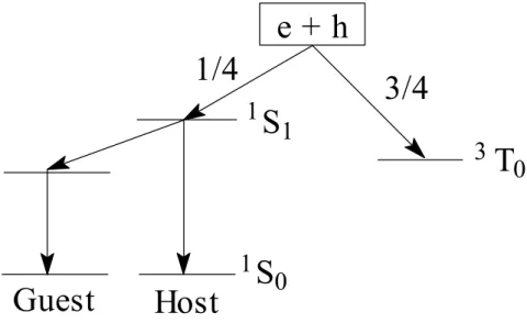 Fig. 1-6.    Energy diagram of exciton formation 