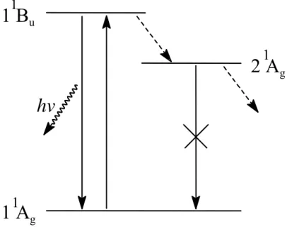 Fig. 1-11.    Relative energy diagram of PA. 