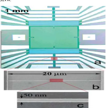 Fig. 2-7 Optical and SEM image of nanowire sensor. (a) The optical image of the  central region of a sensor used for the DNA sensing study