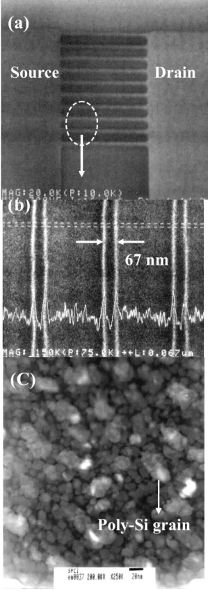 Fig. 3-4.  (a) Scanning electron microscopy (SEM) photography of active pattern with  the source, the drain and multiple nano-wire channels of M10 TFT