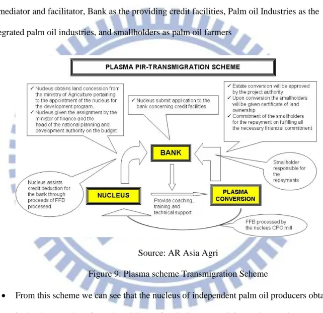 Figure 9: Plasma scheme Transmigration Scheme 