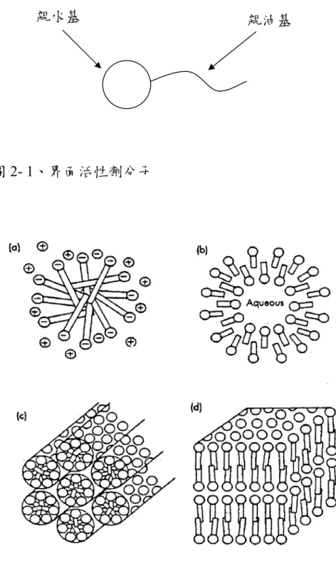 圖 2- 1、界面活性劑分子 