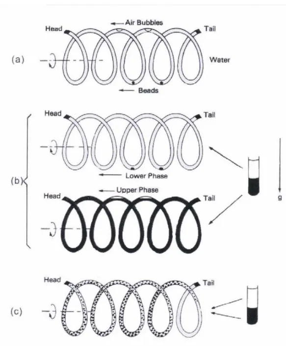 圖 2-9、螺旋管柱中的輕重兩相移動情形 
