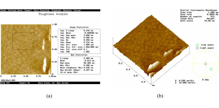 Fig. 1-6 AFM micrograph of P3HT sample annealed at 170℃ with a (a) top-view (b) high angle  view 
