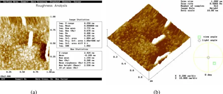 Fig. 1-7AFM micrograph of P3HT sample annealed at 150℃ with a (a) top-view (b) high angle  view 
