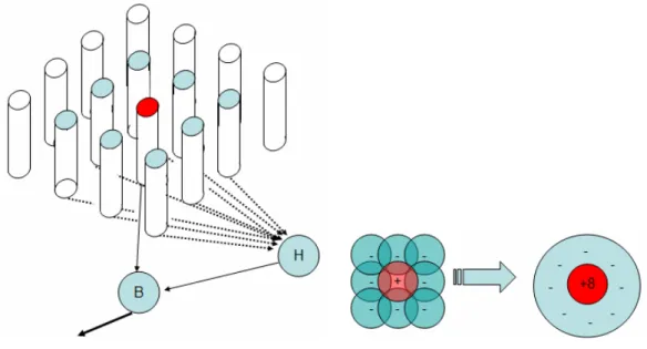 Fig. 2-2 a schematic diagram of receptive field of bipolar cells 