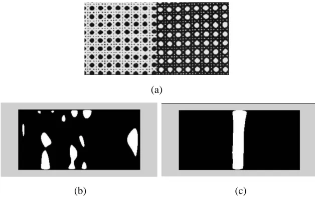 Fig. 3-4 An example demonstrating the effect of 1st-order feature in boundary detection: (a)  150 × 300 image (D101-D102); (b)boundary detected by 2nd-order feature; (c)boundary 