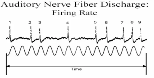 FIGURE 3-4  The firing rate of auditory nerve correspond to the  monotone audio input