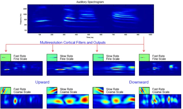 FIGURE 3-7  The response for 8 modeled neurons in the cortex. (Auditory  Model Handout, AAIP) 