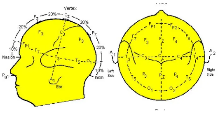 Figure 1.2: The international 10-20 system. The ”10” and ”20” means the 10% and 20%
