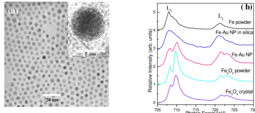 Figure 1      (a) TEM image displaying the dispersed Fe-Au NPs.    The inset presents an enlarged image of one  nanoparticle to indicate the lattice image of the shell
