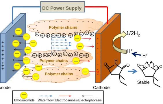 Fig. 5. The schematic drawing shows the influence of applied electrical voltage upon  interactive actions between the ESM and CHC chain