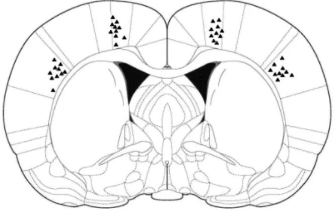 Figure 9. Representative examples of spontaneous SWDs (A) and pentylenetetrazol  (PTZ)-induced SWDs (B)