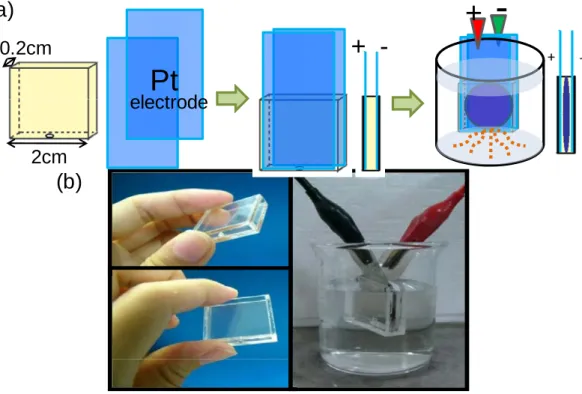 Fig. 1. Swelling behavior of the hybrid hydrogels with different contents of (a) genipin and (b)  TEOS, as a function of time