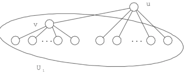 Figure 4.1: An example showing that in a k-connected k-regular graph, there are at most 2k − 2 vertex-disjoint paths between two conditional selected vertex sets.