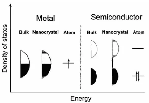 Figure 1-22. Schematic illustration of the density of states in metal and semiconductor  clusters