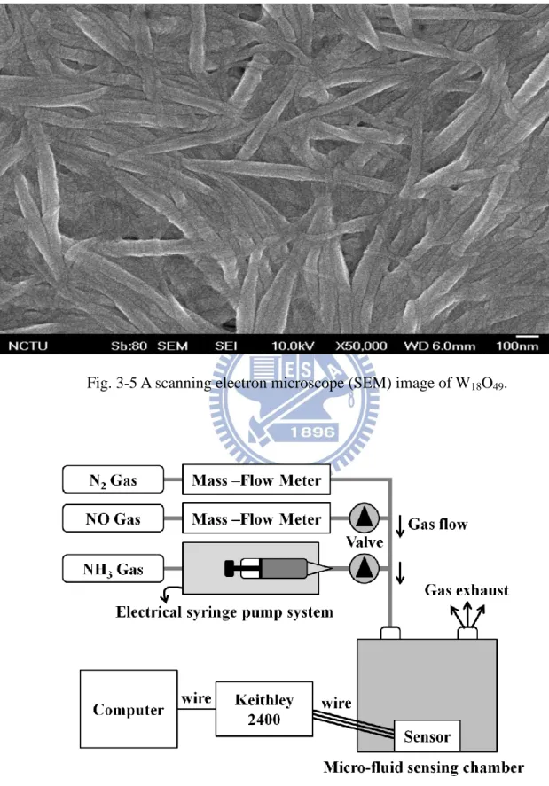 Fig. 3-5 A scanning electron microscope (SEM) image of W 18 O 49 . 