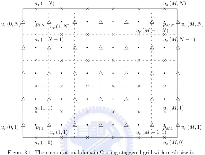 Figure 3.1: The computational domain Ω using staggered grid with mesh size h.