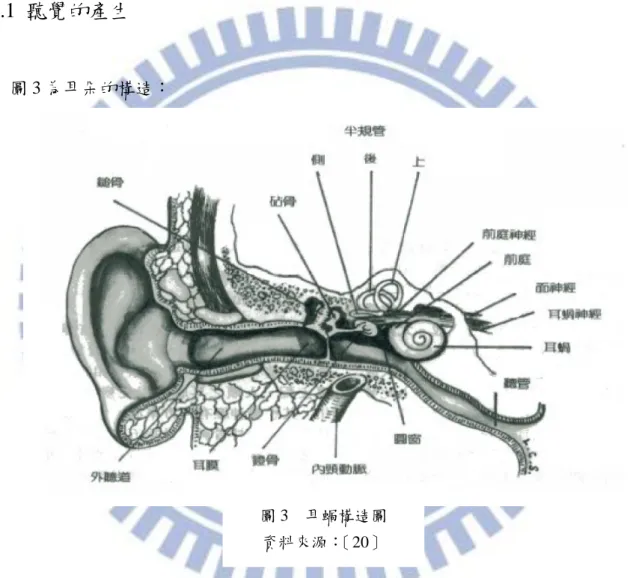 圖 3    耳蝸構造圖  資料來源：〔20〕 