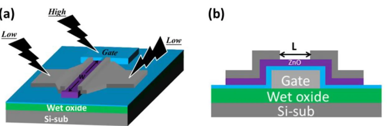 Fig. 2.3: (a) A 3-dimentional schematic and (b) a cross-sectional schematic of the device after  S/D definition