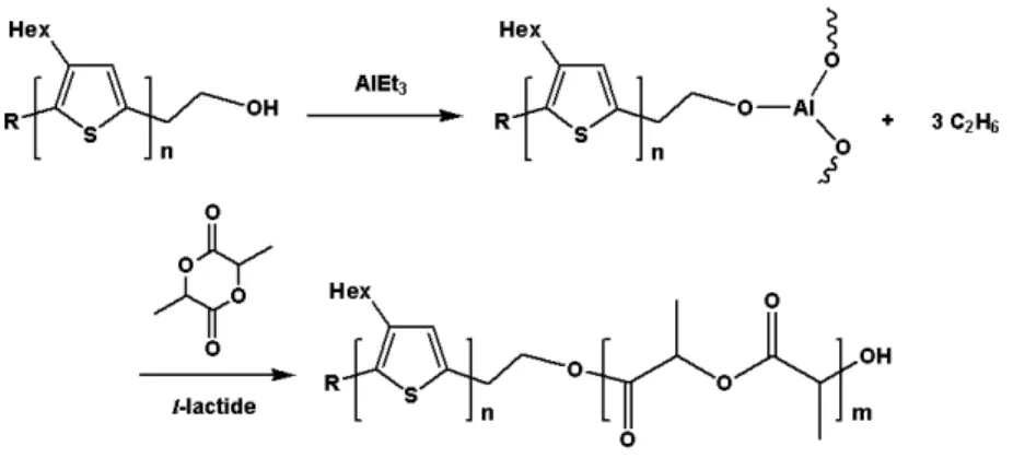 Figure 3-3. Mechanism of Ring-Opening polymerization          有關配位插入開環聚合反應的反應機制，如圖 3-3 所示，催化劑一般為 有機金屬化合物，如烷基金屬和烷氧基金屬化合物。這類反應一般認為單 體上氧原子與催化劑金屬的空軌道配位絡合，乳酸單體在金屬 -碳鏈或  金屬-烷氧鏈上進行插入、增長。          將合成得到的不對稱的聚噻吩高分子P1 及P2 用基質輔助激光解析飛行 時間質譜(MALDI-TOF MS)做末端官能基的分析 [35,