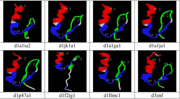 Fig 2. Examples of C2H2 zinc finger protein structures. The simple motifs that map to the β-hairpin and the α-helix are highlighted in color,  where M 1 =[GN][HE][NE]AC[AW]RQ, M 2 =[FH]CWNA[RC]QK and M 3 = TTTTTT[PL][KPL]