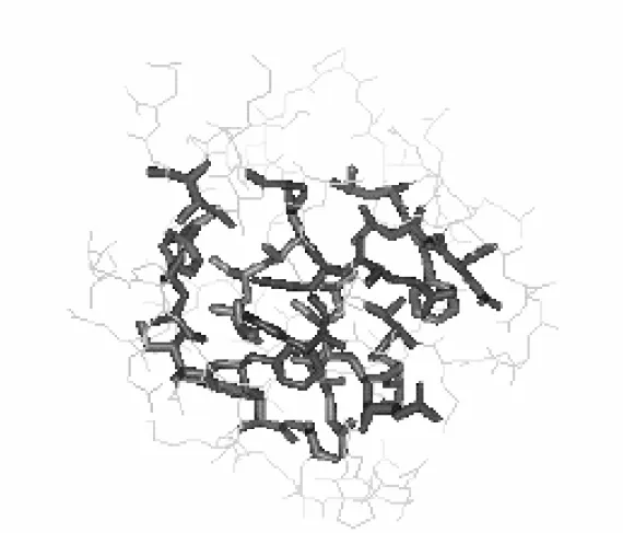 Fig 2.2. Binary model: thick and dark line is buried residues; thin and light line is  exposed residues [39]