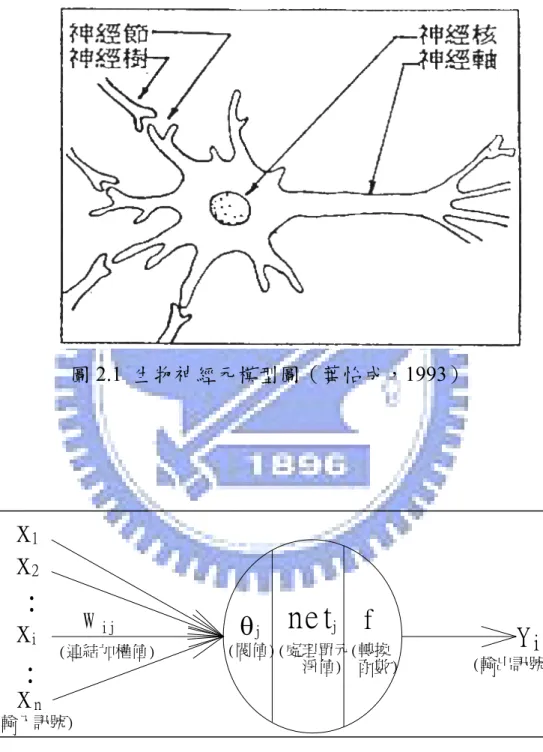 圖 2.1  生物神經元模型圖（葉怡成，1993）  x 1 x 2 . . x i x n.. (輸入訊號) (連結加權值)Wij θ j  (閥值) net j (處理單元   淨值) f (轉換  函數) Y i (輸出訊號 圖 2.2  人工神經元模型圖 