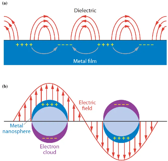Fig. 2-10：Illustrations of (a) surface plasmons and (b) localized surface plasmon. [20] 