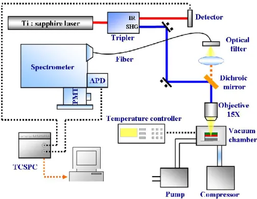 Figure 3.2.1 The setup detail of Ti:sapphire laser PL system. 