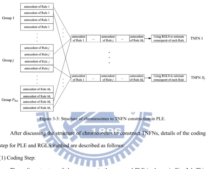 Figure 3-3: Structure of chromosomes to TNFN construction in PLE. 