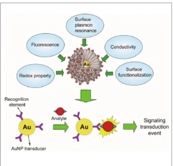 Figure 1. The surface modification and applications of gold nanoparticles [74]. 