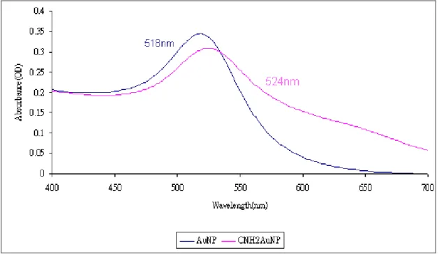 Figure 4. Wavelength scanning of AuNP and CNH 2 -modified AuNPs within wavelengths 