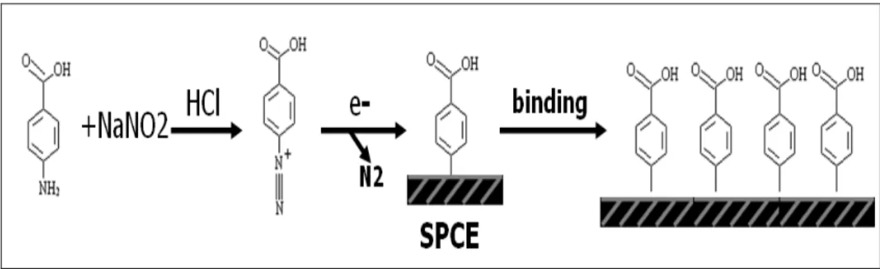 Figure 7. Simple diagram of diazotization and coupling reactions. 4-(aminophenyl)acetic acid 