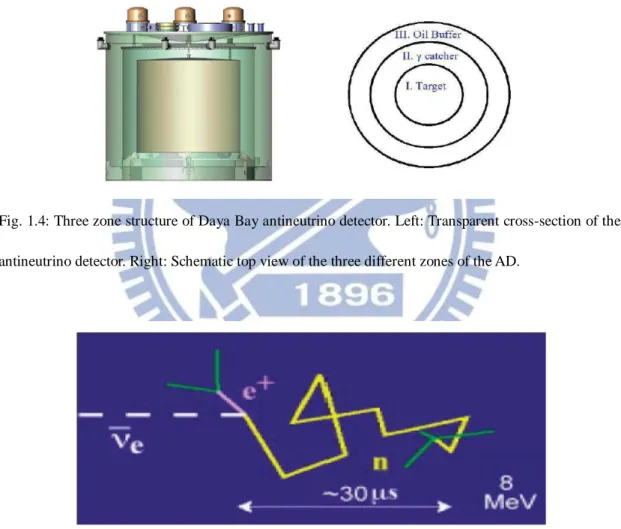 Fig. 1.4: Three zone structure of Daya Bay antineutrino detector. Left: Transparent cross-section of the  antineutrino detector