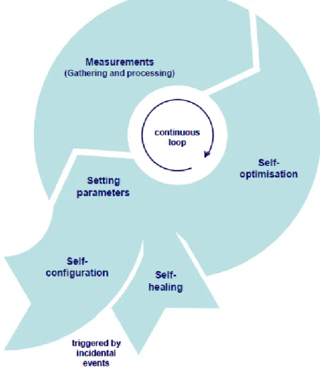 Figure 4 Process of self-organization [6] 