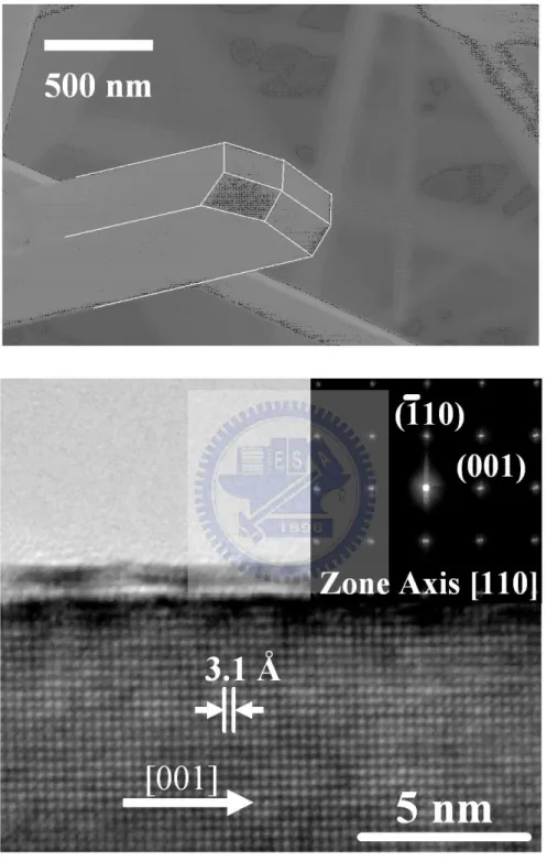 Figure 2.2: TEM image for a RuO 2 NW.
