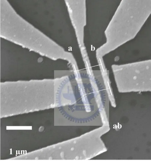 Figure 3.2: SEM image of the Ru-8 NW.