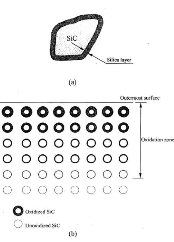 Fig. 2-1 (a) silica 層示意圖；(b) SiC 複合材料氧化後之氧化深度示意 圖。 