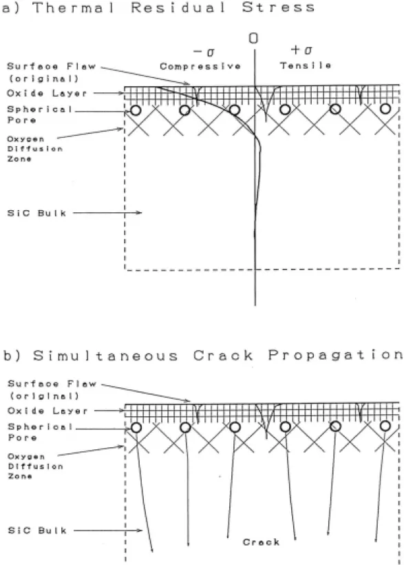 Fig. 2-4  碳化矽試片表層之截面微觀結構圖示；(a)未負載 (b)負載後 