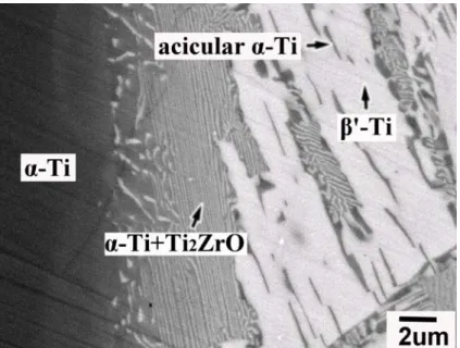Fig. 6. Ti 與 17C83Z 在 1550°C/6 h 擴散反應後反應層 I、II 之介面微觀結構圖（BEI）。 