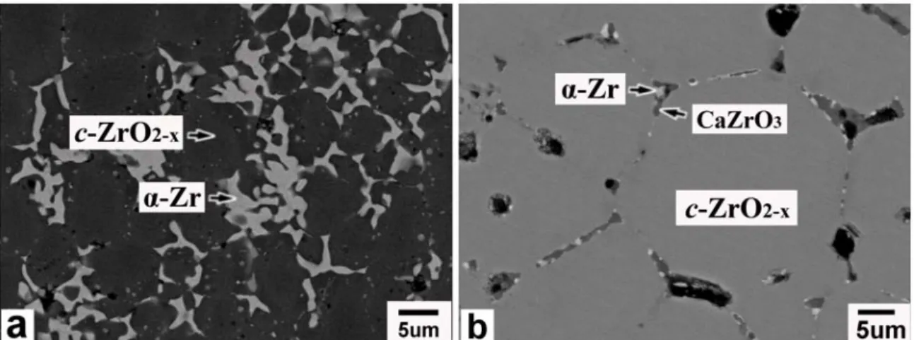 Fig. 8. Ti 與(a) 9C91Z, (b) 17C83Z 在 1550°C/6 h 擴散反應後反應層 V 之微觀結構圖（BEI） 。