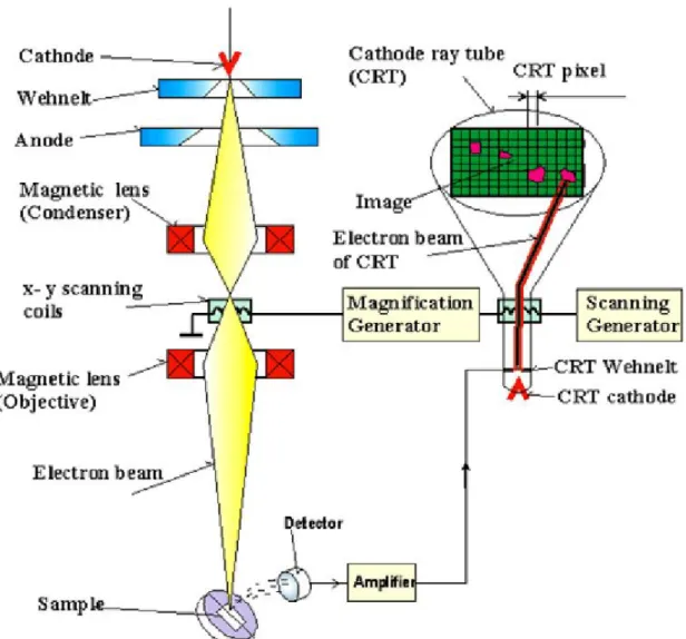 Fig. 2-5. A schematic diagram of a typical SEM. 