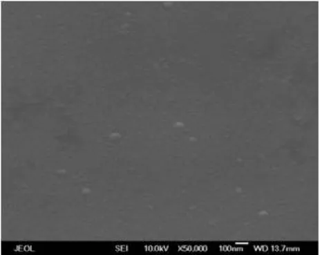 Fig. 1-2-5 Film with thickness 188.9(nm)