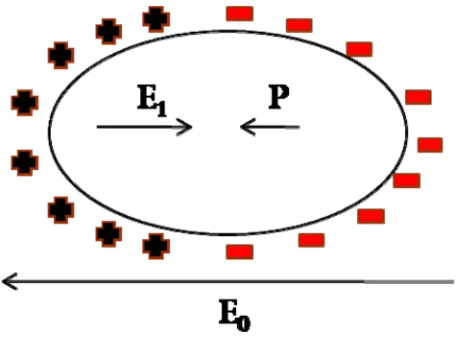 Table 2-3-1 the depolarization factors for the body with different shapes 
