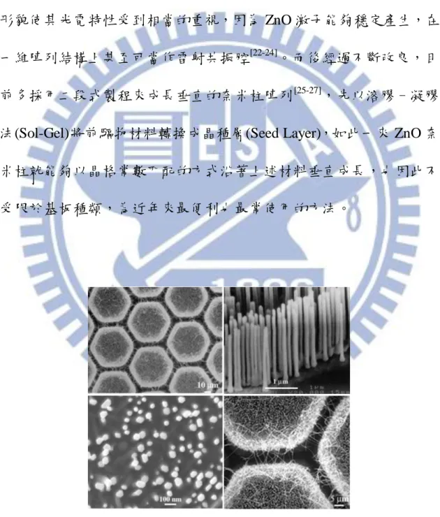 Fig. 1-4 ZnO 奈米柱陣列成長於金觸媒之 SEM 圖 