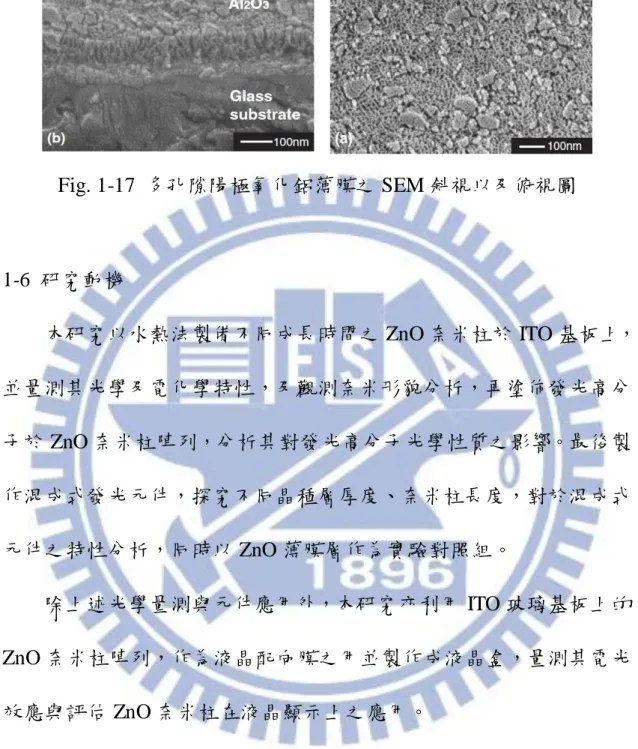 Fig. 1-17  多孔隙陽極氧化鋁薄膜之 SEM 斜視以及俯視圖  1-6  研究動機          本研究以水熱法製備不同成長時間之 ZnO 奈米柱於 ITO 基板上， 並量測其光學及電化學特性，及觀測奈米形貌分析，再塗佈發光高分 子於 ZnO 奈米柱陣列，分析其對發光高分子光學性質之影響。最後製 作混成式發光元件，探究不同晶種層厚度、奈米柱長度，對於混成式 元件之特性分析，同時以 ZnO 薄膜層作為實驗對照組。          除上述光學量測與元件應用外，本研究亦利用 ITO 玻璃基板上的 Z